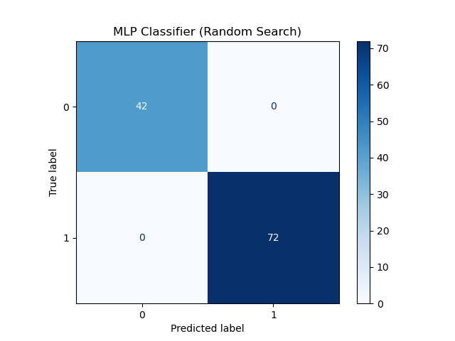 MLP Random Search